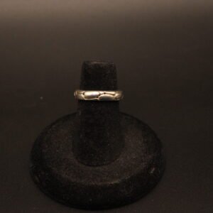 Sterling Silver Turtle Shell Band