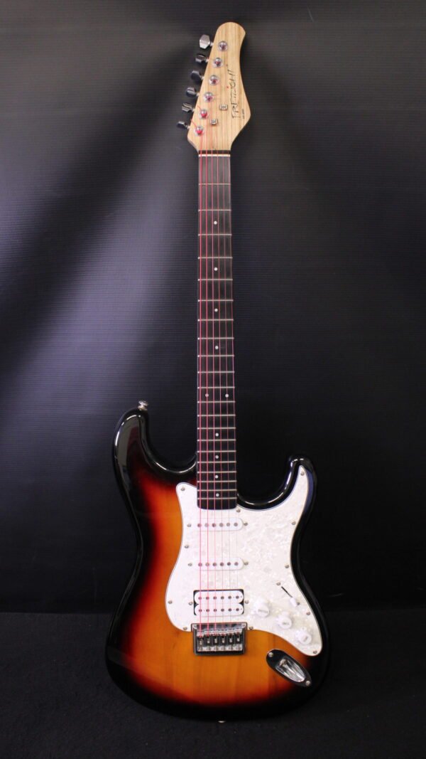 Fretzlight 500 Series Guitar