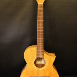 IBANEZ EWN28SYE-NT1201 Acoustic Electric Classical Guitar