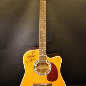 Esteban ALC-200 Electric Acoustic Guitar