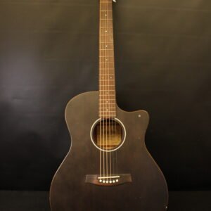 SCHECTER Deluxe Acoustic Guitar